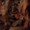 presepe_2015 12